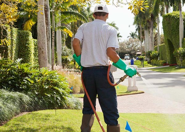 About Weippe ID Pest Control
